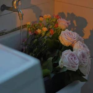 美女脱掉内裤让男人插射视频
